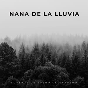 Nana De La Lluvia: Sonidos De Sueño De Ensueño - Lluvia Ruido Dormir