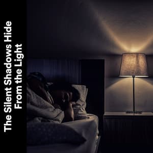 The Silent Shadows Hide from the Light - Ensemble Reiki