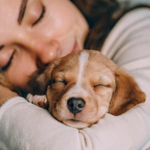 Tonos Tranquilos: Armonía Relajante Para Perros - Caminos de Niebla
