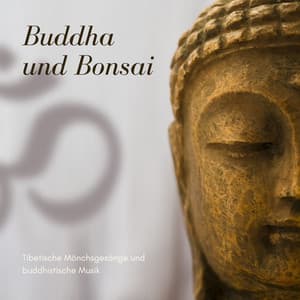 Buddha und Bonsai – Tibetische Mönchsgesänge und buddhistische Musik - Buddha Virtue
