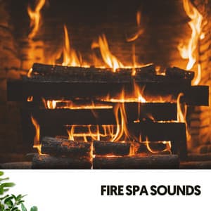 Fire Spa Sounds: Ember Melodies - Música Relajante Para Leer