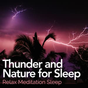 Thunder and Nature for Sleep - Relax Meditation Sleep