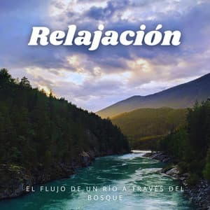 Relajación: El Flujo De Un Río A Través Del Bosque - Balneario de agua