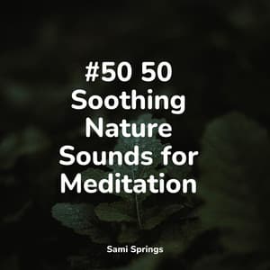 #50 50 Soothing Nature Sounds for Meditation - Rain Shower Spa