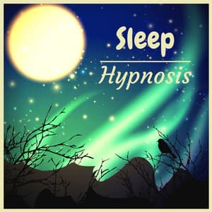 Sleep Hypnosis: The Academy of Lucid Dreams 2020 - Silent Night