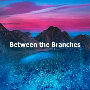 Between the Branches - Nature Hub