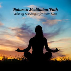 Nature's Meditation Path: Relaxing Soundscapes for Inner Peace - ASMR Denmark