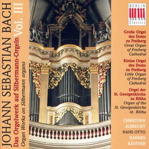 Bach: Organ Music on Silbermann Organs, Vol. 3 - BWV BWV 582, 651-668, 727, 730, 733, 734, 735, 736, 737, 768, 769 - Johann Sebastian Bach
