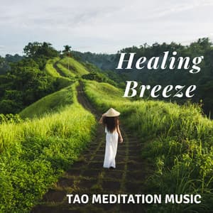 Healing Breeze: Tao Meditation Music, Experience Chinese Wisdom and Harmony - Meditative Mantra Zone