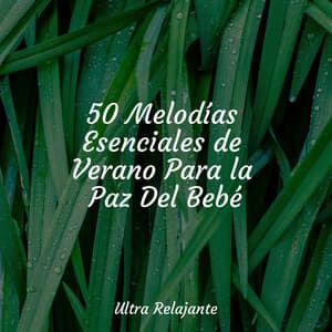 50 Melodías Esenciales de Verano Para la Paz Del Bebé - Música ambiental relajante