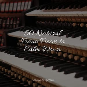 50 Natural Piano Pieces to Calm Down - Relaxing Piano Music Universe