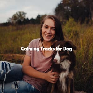 Calming Tracks for Dog - Easy Jazz Music