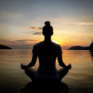 Orquesta De Meditación: Paisajes Sonoros En Quietud Armonizada - Valborg Shamsuddin