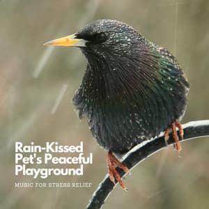 Rain-Kissed Pet's Peaceful Playground: Music For Stress Relief - Rain Thunderstorms