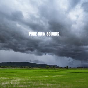 Pure Rain Sounds - Relaxing Rain Sounds