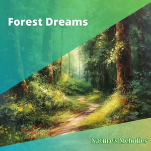 Forest Dreams - Nature's Melodies
