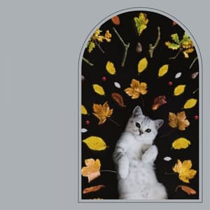 Backdrop for Soulful Kittens - Cat Music Waves