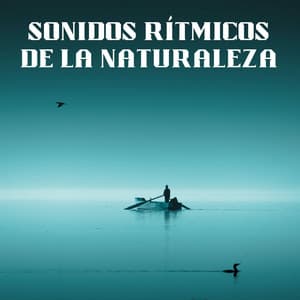 Sonidos Rítmicos De La Naturaleza - Acústica de la Naturaleza