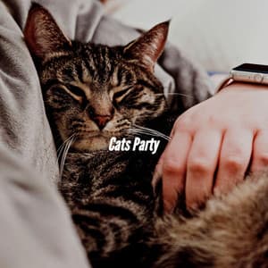 Cats Party - Vancouver Jazz Band