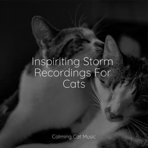 Inspiriting Storm Recordings For Cats - Pet Care Club