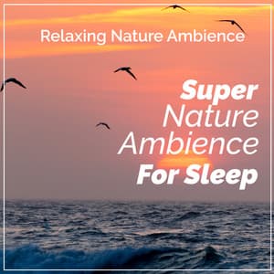 Super Nature Ambience: For Sleep - Relaxing Nature Ambience