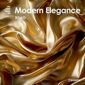 Modern Elegance - Remi Lavialle