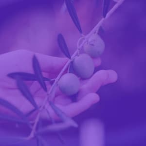 Peaceful Music for Devoted Inspiration - No Drums Jazz - Music for Retail Greats