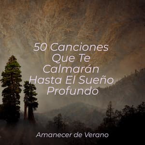 50 Canciones Que Te Calmarán Hasta El Sueño Profundo - Musica para Dormir 101
