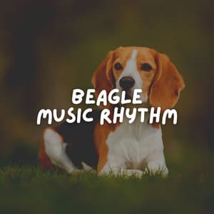 Beagle Music Rhythm - Sleeping Music For Dogs