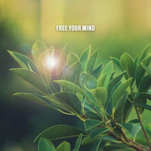 Free Your Mind - Thunder Storms