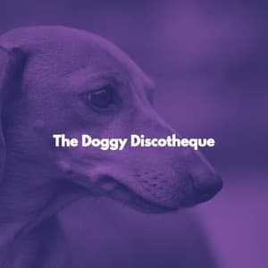 The Doggy Discotheque - Modern Dinner Music