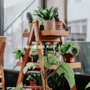 朝の温室のメロディー - Music for Programming