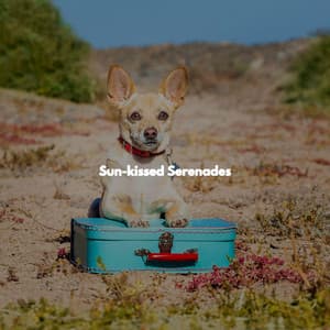 Sun-kissed Serenades - Soft Jazz & Coffee
