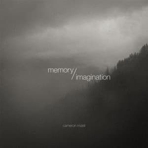 Memory / Imagination - Cameron Mizell