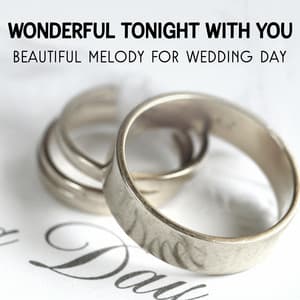 Wonderful Tonight with You: Beautiful Melody for Wedding Day - Jazz Music for Young Couples, Acoustic Party with Jazz Band - Moody Jazz Collection