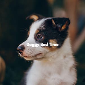 Doggy Bed Time - Calma Música para Perros