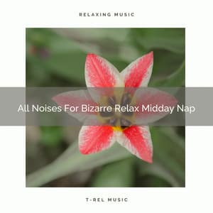 All Noises For Bizarre Relax Midday Nap - Airplane White Noise Baby Sleep