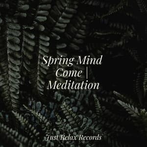 Spring Mind Come | Meditation - Deep Sleep Meditation