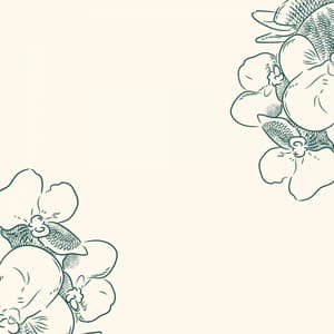 Background Music for Comfort Universes - New York Cafe Playlist