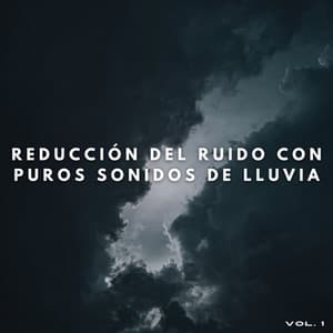 Reducción Del Ruido Con Puros Sonidos De Lluvia Vol. 1 - Musica Para Trabajar