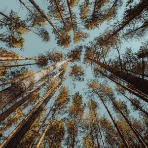 Bruit du ventilateur pour le sommeil - Android de bruit blanc