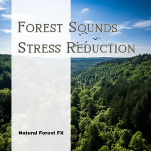 Forest Sounds: Stress Reduction - Natural Forest FX