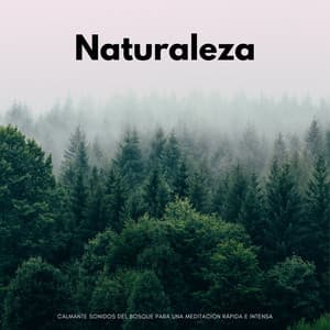 Naturaleza: Calmante Sonidos Del Bosque Para Una Meditación Rápida E Intensa - Sonido Del Bosque y Naturaleza