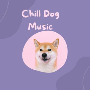 Chill Dog Music - Pet Music Therapy