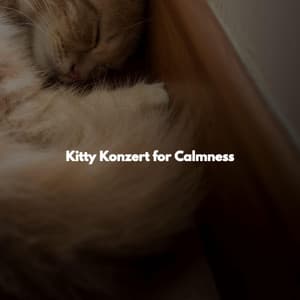 Kitty Konzert for Calmness - Chillout Jazz
