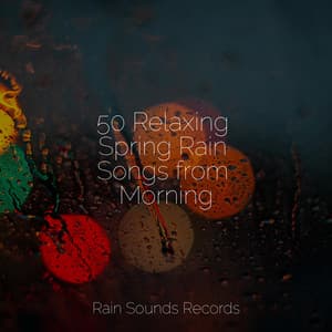 50 Relaxing Spring Rain Songs from Morning - Yoga Sounds
