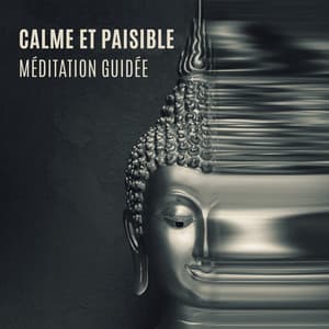 Calme et paisible: Méditation guidée pour la relaxation avec des sons naturels curatifs - Ensemble de Musique Zen Relaxante