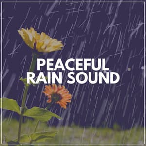 Peaceful Rain Sound - The Nature Soundscapes