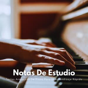 Notas De Estudio: Teclas Armónicas De Piano Para El Aprendizaje Rápido - Alegre Musica de Piano