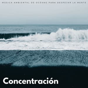 Concentración: Música Ambiental De Océano Para Despejar La Mente - Los SubOceaners